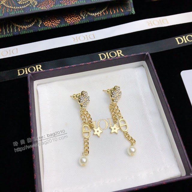 Dior飾品 2021新款DIOR迪奧字母耳釘耳環  zgd1413